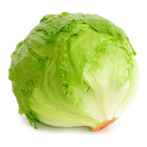 Iceberg Lettuce