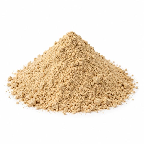 Amchoor Powder