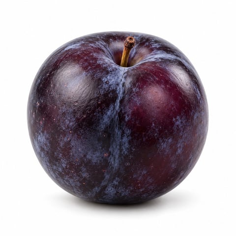 Plum Black Loose