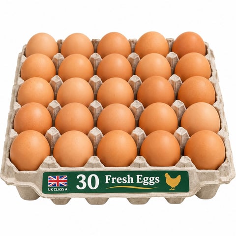 Eggs Tray 30