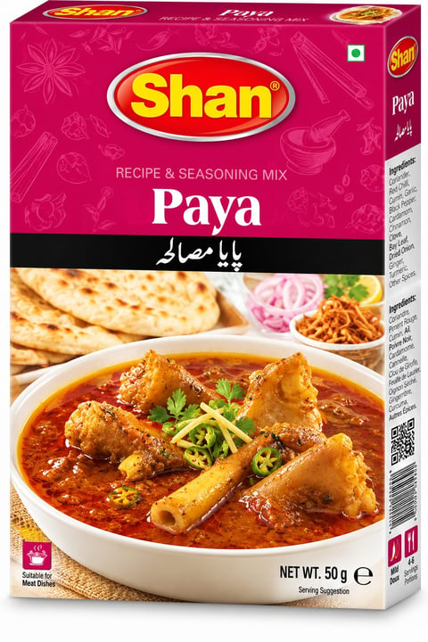 Shan Paya