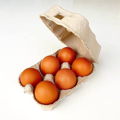 Free Rang Eggs 6 Medium
