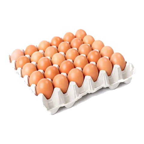 Medium Eggs Tray