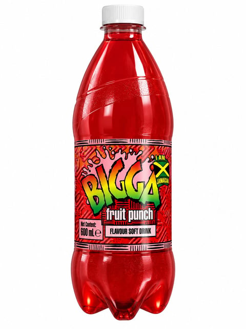 Bigga Fruit Punch 600 ml