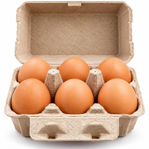 Eggs 6 Pack