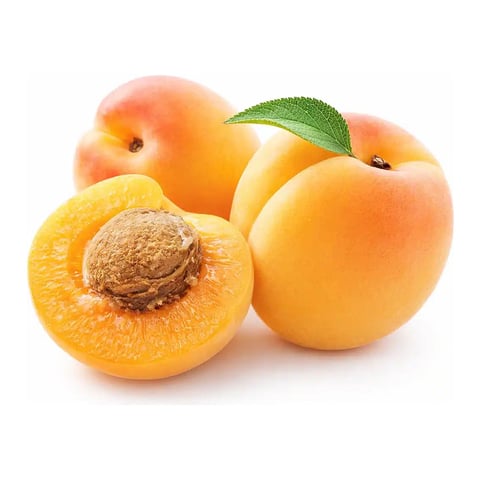 Apricot