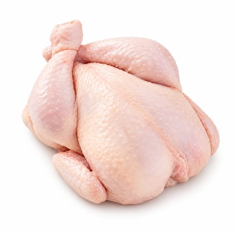 Medium Chicken